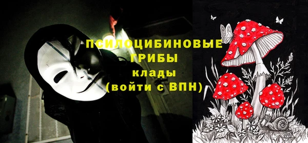 тгк Магадан