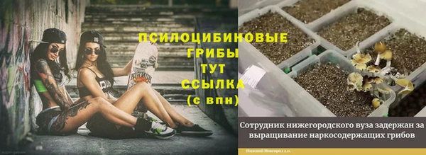 соль ск Майский