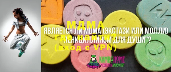 шишки Сосновка