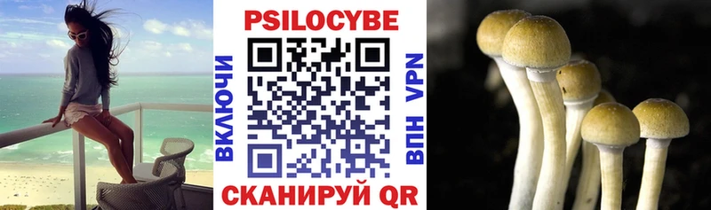 Галлюциногенные грибы ЛСД  Талица 